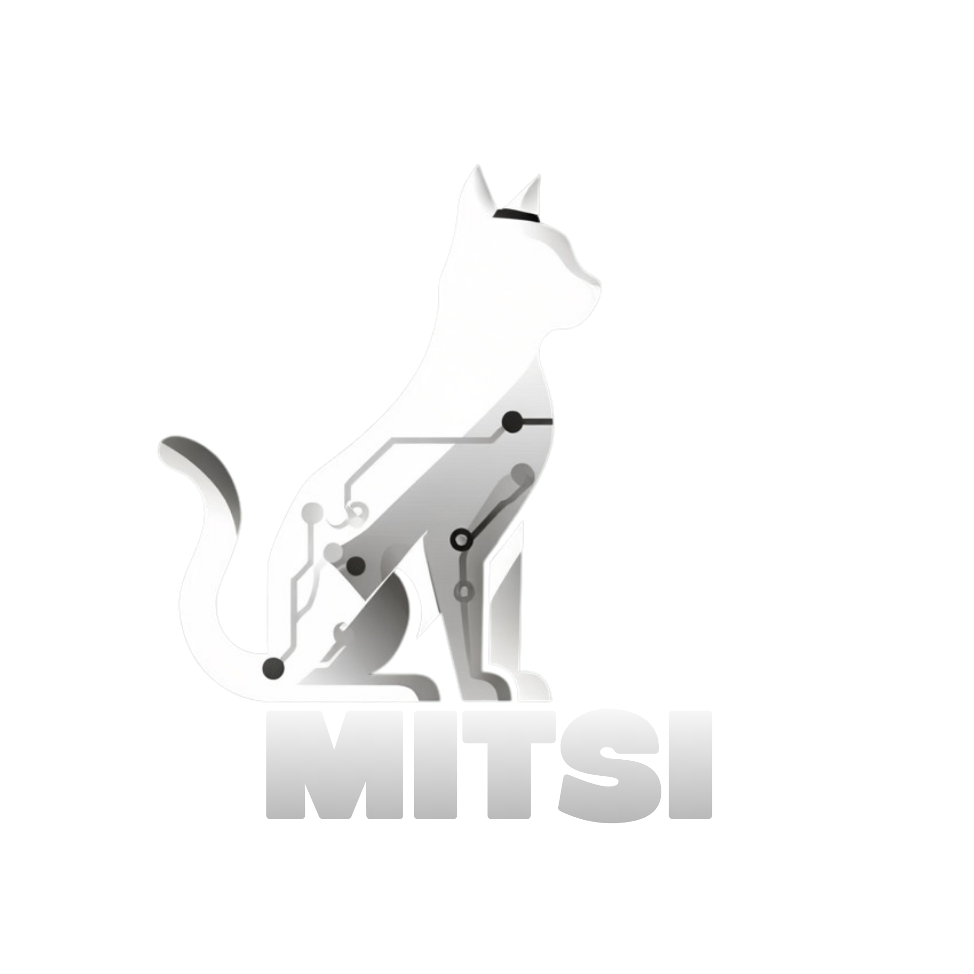 Mitsi - פתרונות טכנולוגיים לעסקים